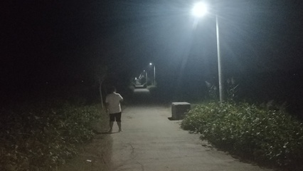 百余盏路灯"站岗"十公里村道 帮扶之路光照前行人